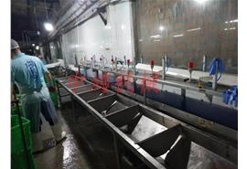 皮帶式重量分選機(jī)