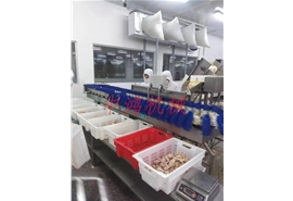 塑料盒式重量分揀機(jī)