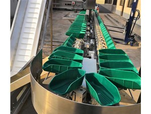  想知道自動(dòng)檢重秤是怎樣工作的嗎?