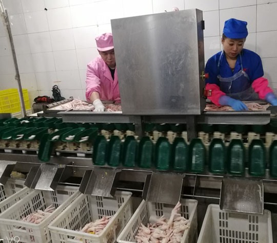 塑料盒式重量分揀機(jī)