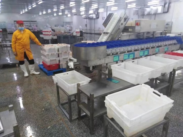 塑料盒式重量分揀機